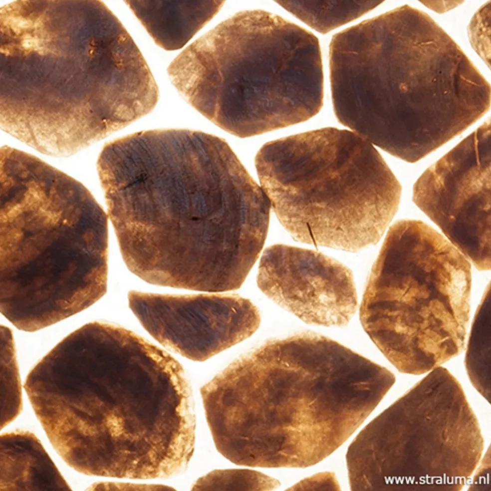 Shop Straluma Bruin gouden hanglamp met capiz schelpen