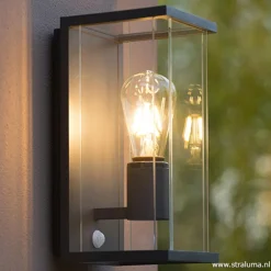 Sale Straluma Buitenlamp antraciet/glas met bewegingssensor IP54