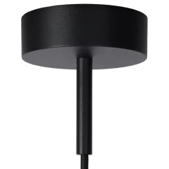 Fashion Straluma Buitenlamp hang zwart met glazen kap IP44