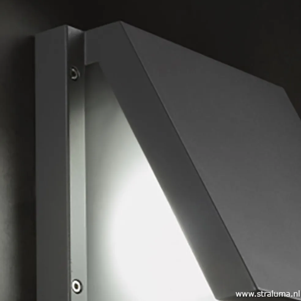Store Straluma Buitenlamp wandlamp antraciet IP54