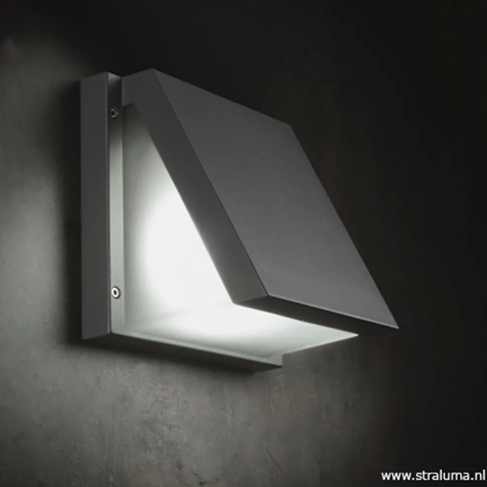 Store Straluma Buitenlamp wandlamp antraciet IP54