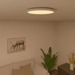 Fashion Straluma Calex Smart Halo plafondlamp 29 cm