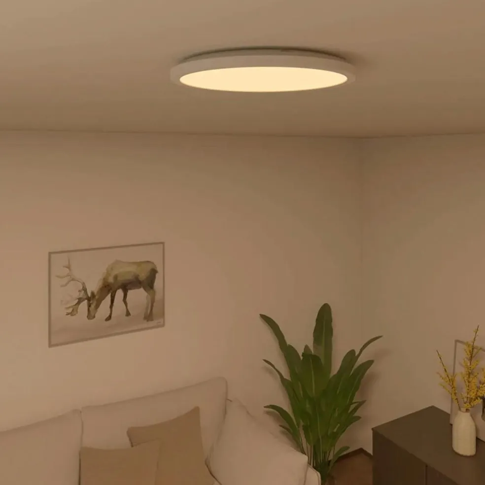 Fashion Straluma Calex Smart Halo plafondlamp 29 cm
