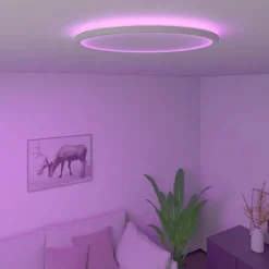 Hot Straluma Calex Smart Halo plafondlamp 40 cm