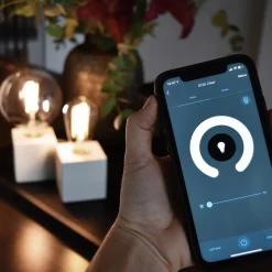 Best Straluma Calex Smart Home E27 LED filament helder Globe G125