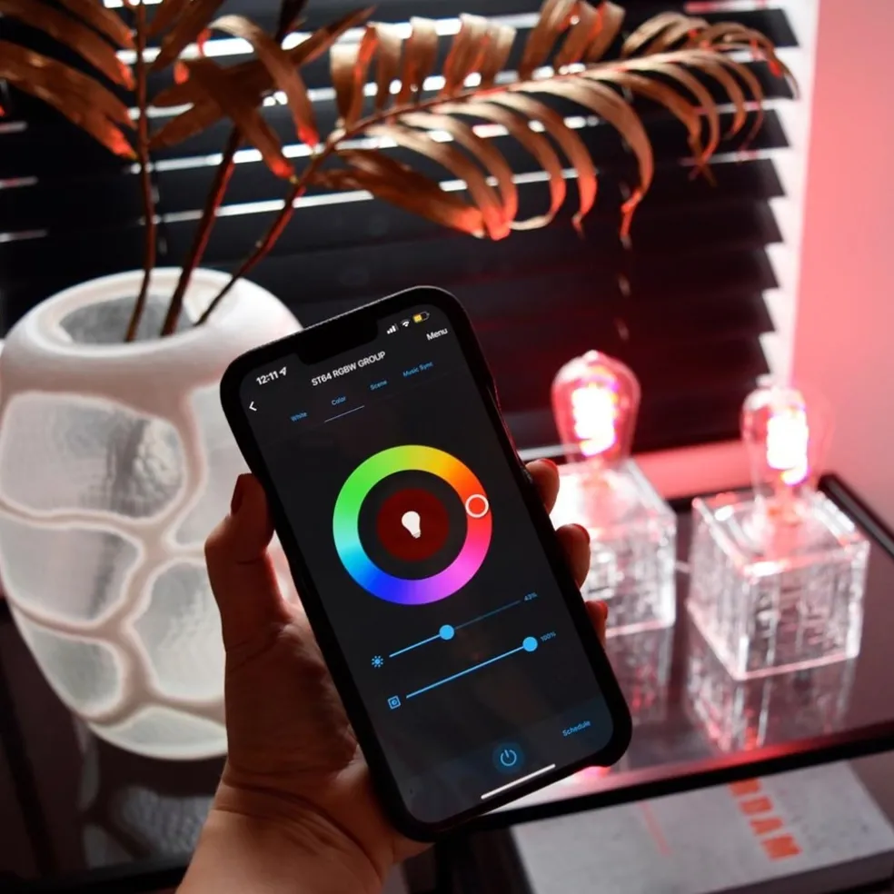 Shop Straluma Calex Smart Rustiek ST64 Helder Flex Filament