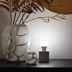 Fashion Straluma Calex Smart Standaard LED Lamp E27