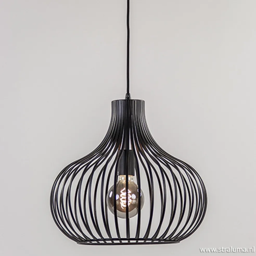 Best Straluma Draadhanglamp medium zwart 38cm