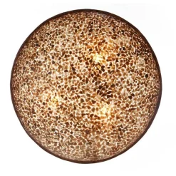 Outlet Straluma Grote schelpen wandlamp bruin met goud 60 cm