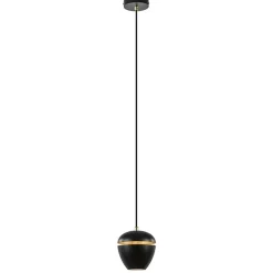 Shop Straluma Hanglamp Claire 1L zwart/matgoud