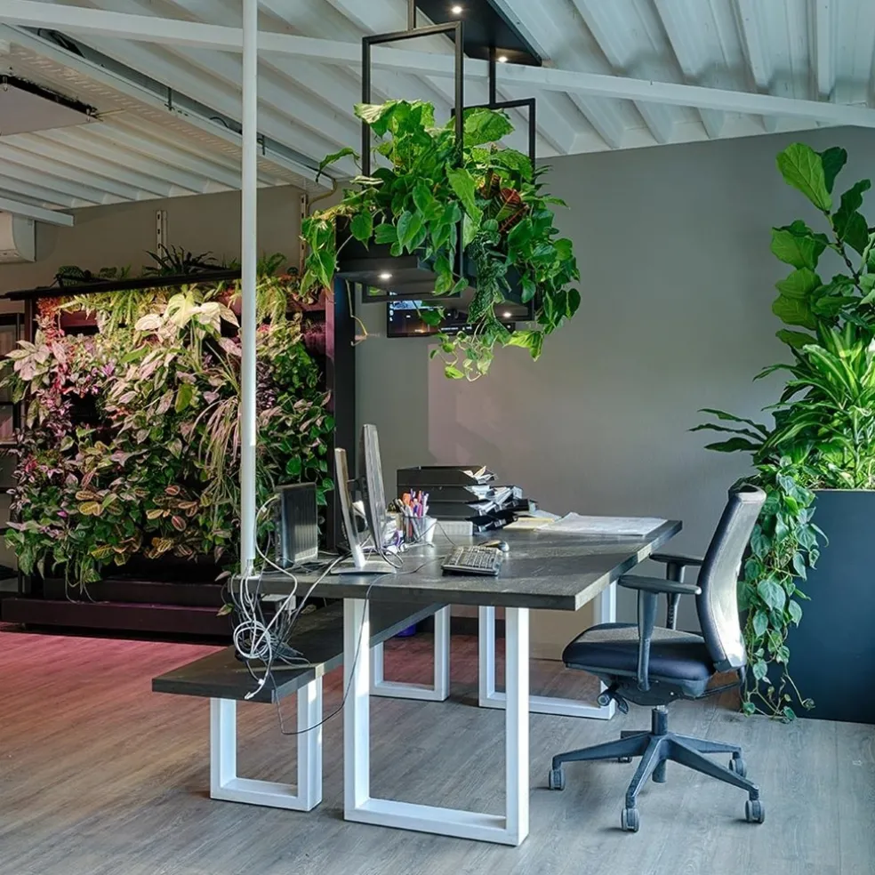 Fashion Straluma Hanglamp Oslo zwart