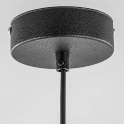 Best Straluma Hanglamp zwart met opaal wit glas 30 cm