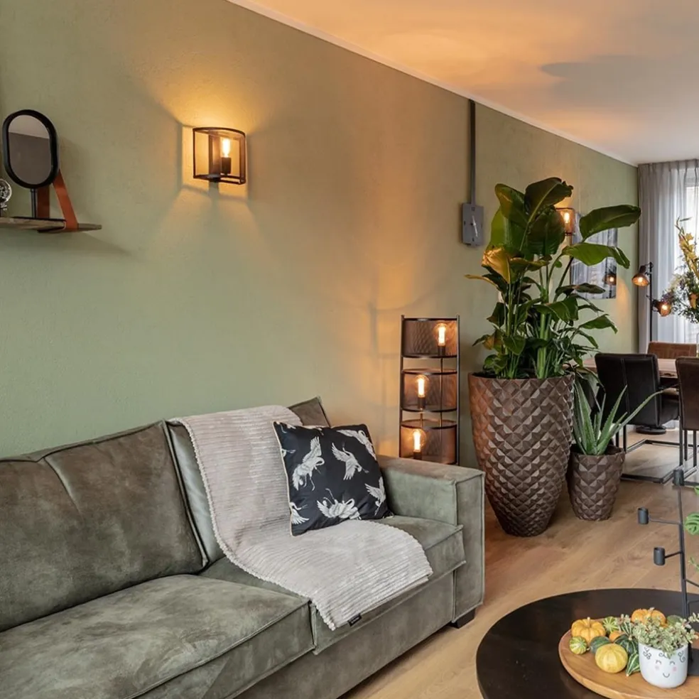 Best Straluma Industrieel landelijke wandlamp met gaas