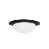 Best Sale Straluma Kleine LED plafondlamp zwart met wit glas IP44