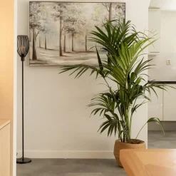 Shop Straluma Moderne staande lamp met draad kap mat zwart