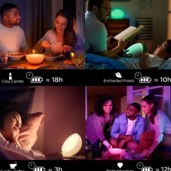 Online Straluma Philips Hue white and color ambiance go portable light met Bluetooth