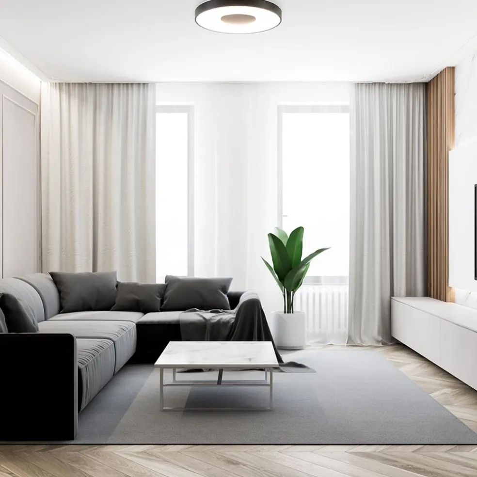 Store Straluma Plafondlamp Coin 65 zwart + remote