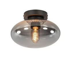 Shop Straluma Plafondlamp Reflexion zwart+smoke glas