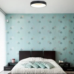 Fashion Straluma Plafondlamp Ringlede zwart