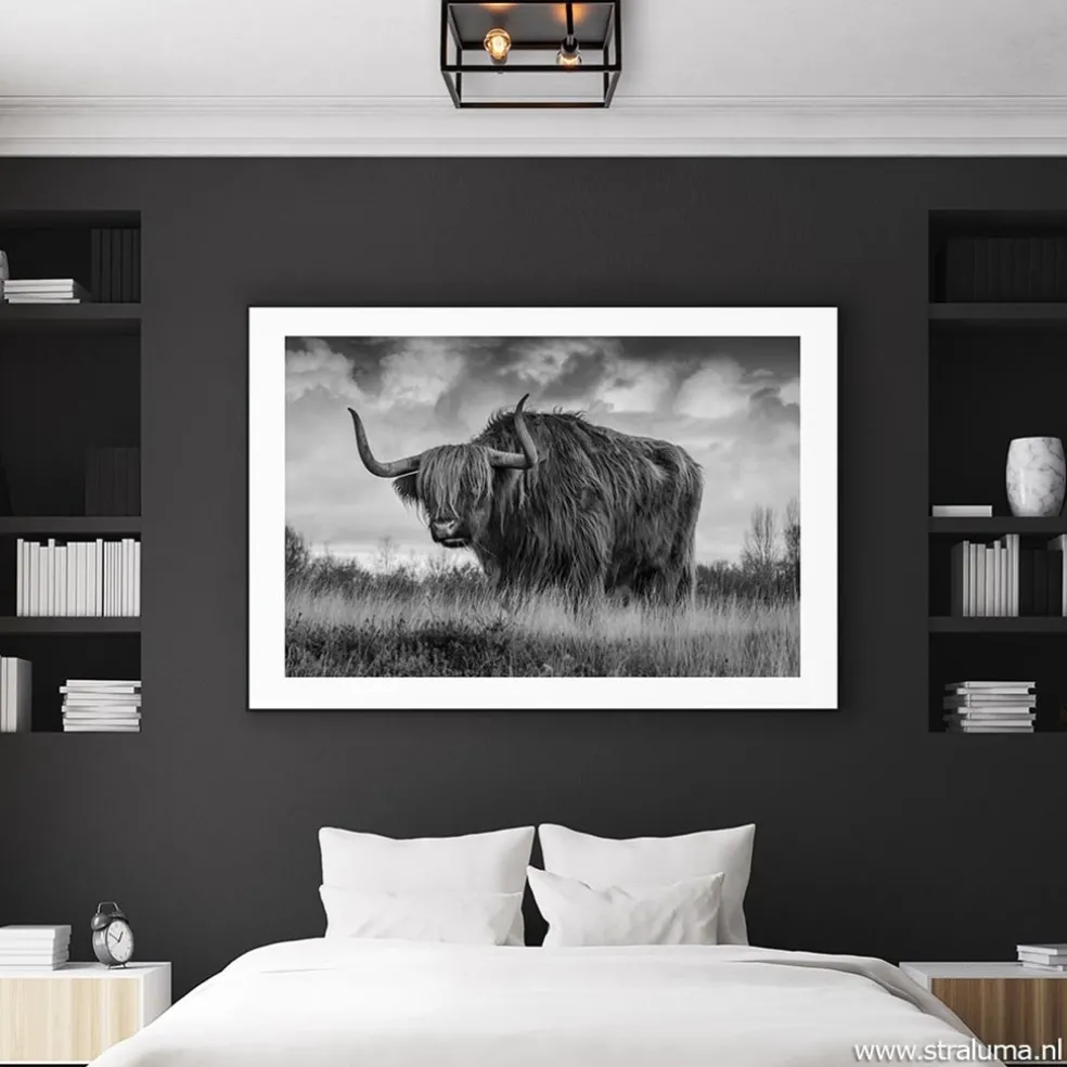 Shop Straluma Plafondlamp vierkant zwart open frame