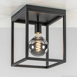 Cheap Straluma Plafondlamp zwart open frame