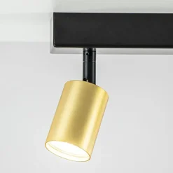 Best Straluma Plafondspot Bounce 2L 40cm zwart/matgoud
