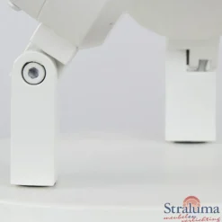 Online Straluma Plafondspot Rain 2L rond wit gu10 IP44