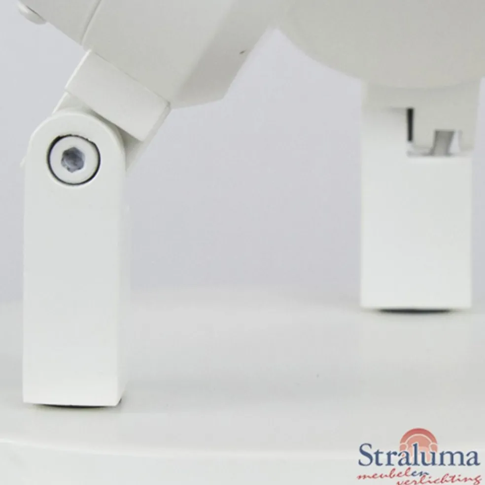 Online Straluma Plafondspot Rain 2L rond wit gu10 IP44