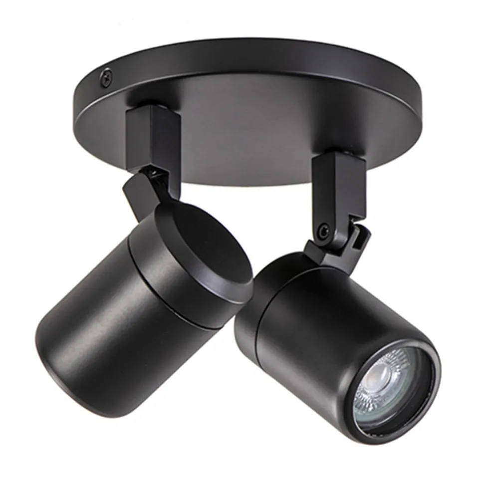 Store Straluma Plafondspot Rain 2L rond zwart IP44