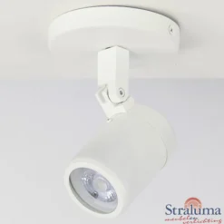 Online Straluma Plafondspot wit gu10 IP44