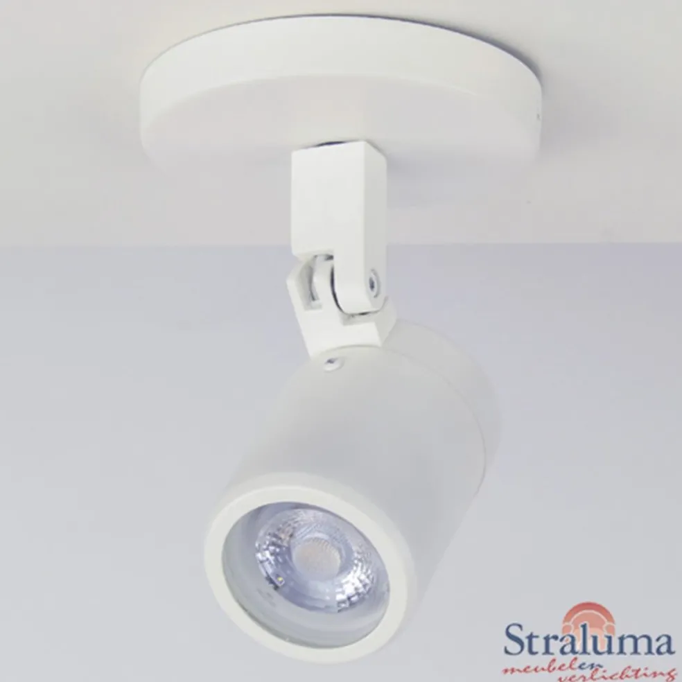 Online Straluma Plafondspot wit gu10 IP44