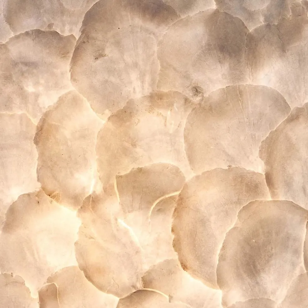 Sale Straluma Romantische hanglamp bol creme schelp