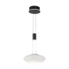 Store Straluma Smart hanglamp mat zwart met opaal glazen kap