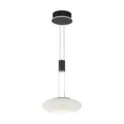 Store Straluma Smart hanglamp mat zwart met opaal glazen kap