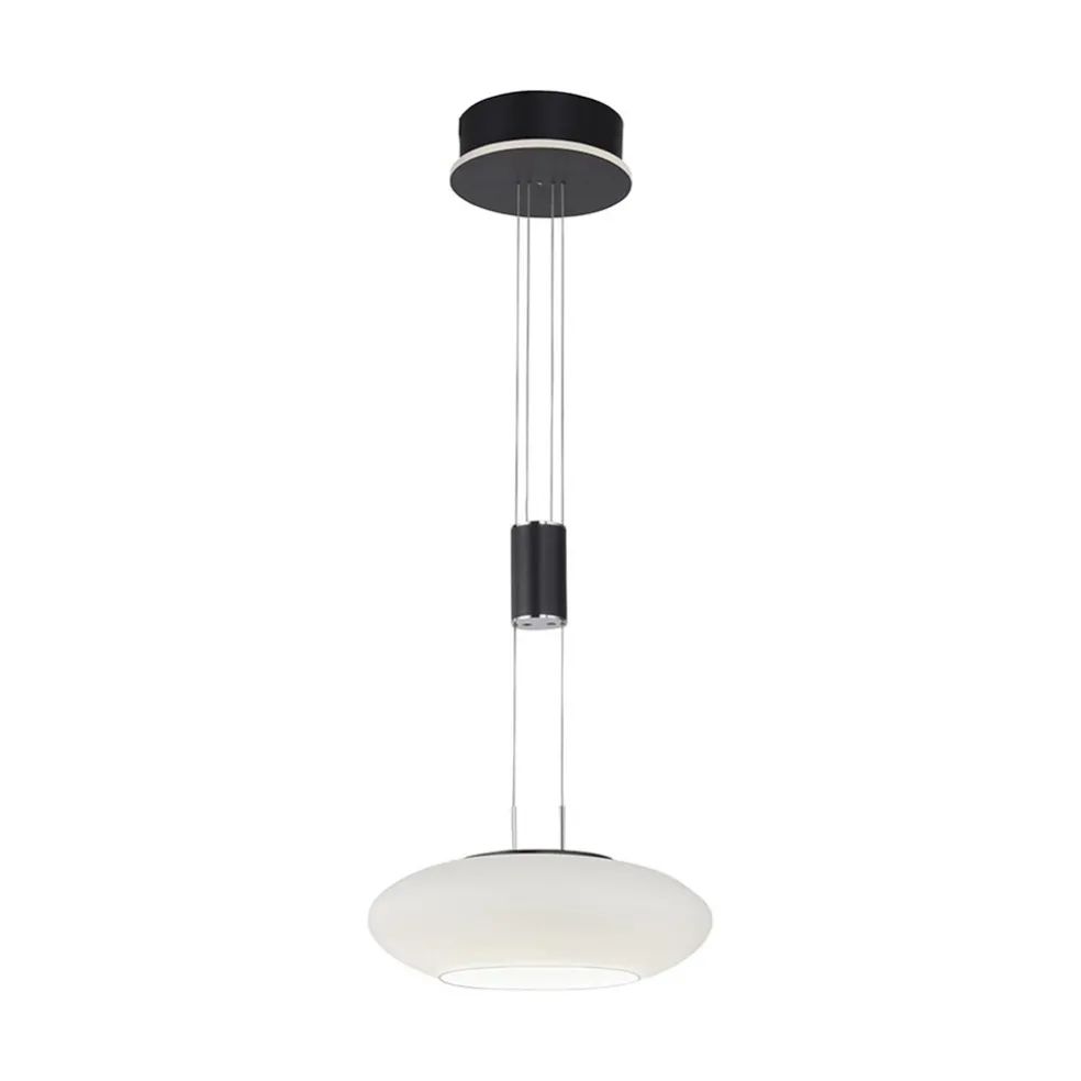 Store Straluma Smart hanglamp mat zwart met opaal glazen kap