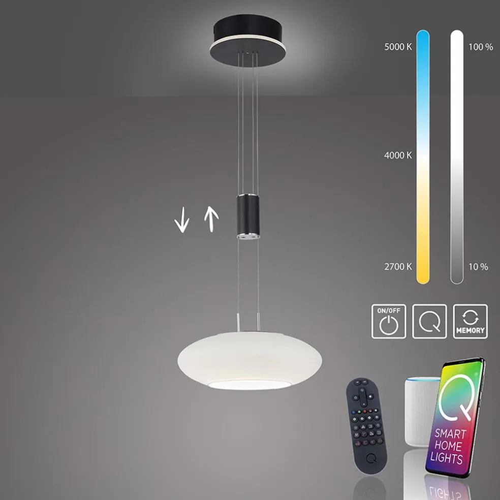 Store Straluma Smart hanglamp mat zwart met opaal glazen kap