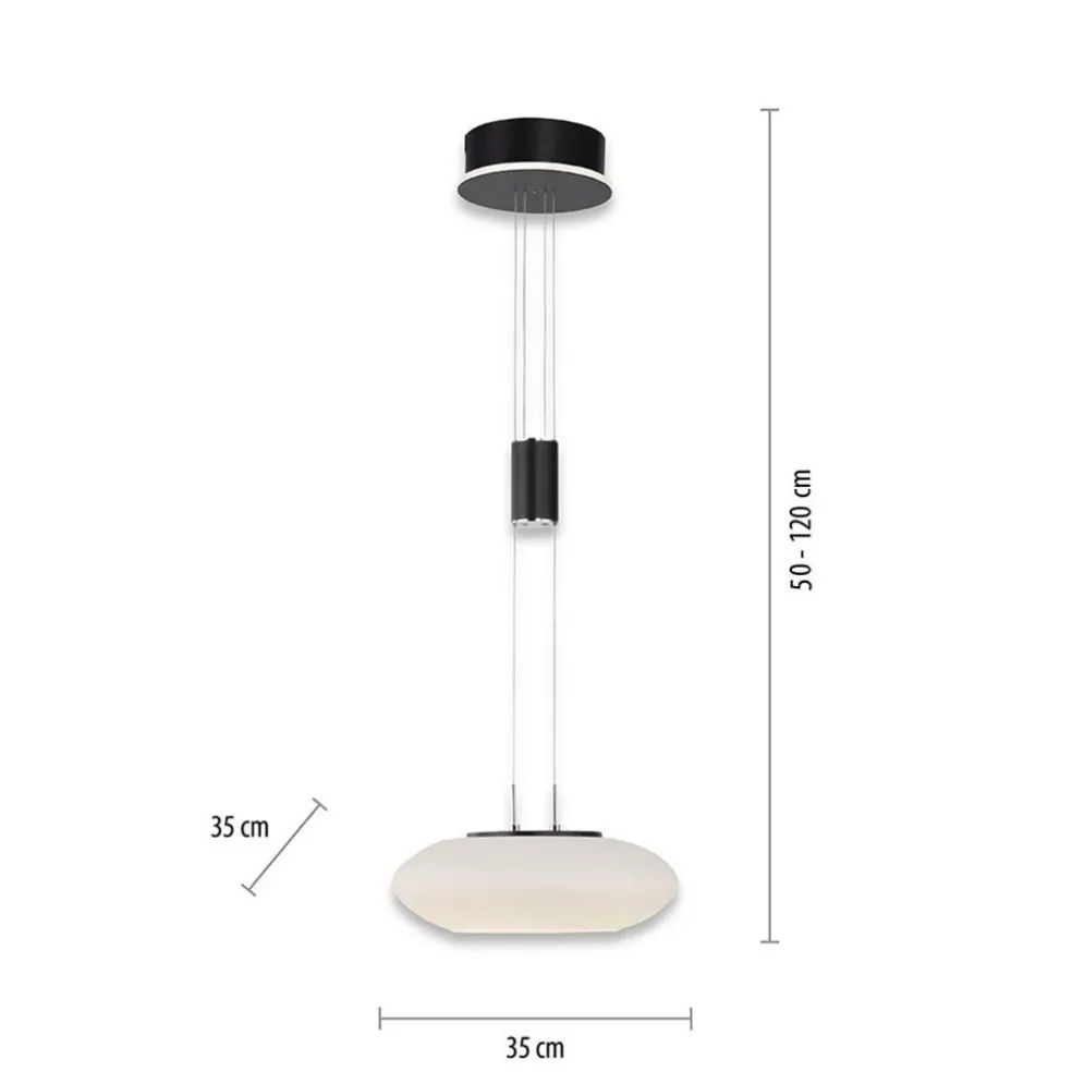 Store Straluma Smart hanglamp mat zwart met opaal glazen kap