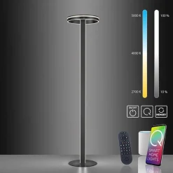 Hot Straluma Smart vloerlamp verstelbare ring antraciet