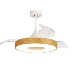 Fashion Straluma Ventilator Coin hout remote cct