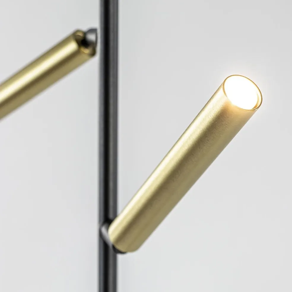 Shop Straluma Vloerlamp Flute 2l zwart/matgoud pushdim