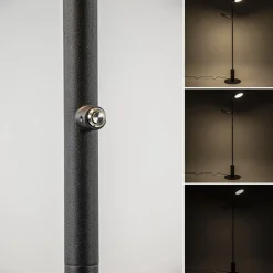 Shop Straluma Vloerlamp 2-lichts zwart inclusief 3-standen dimbaar LED