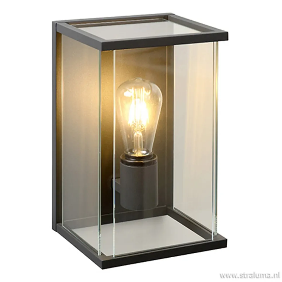 Online Straluma Wandlamp buiten antraciet/glas IP54