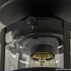 Discount Straluma Zwarte Kooi- plafondlamp met glas