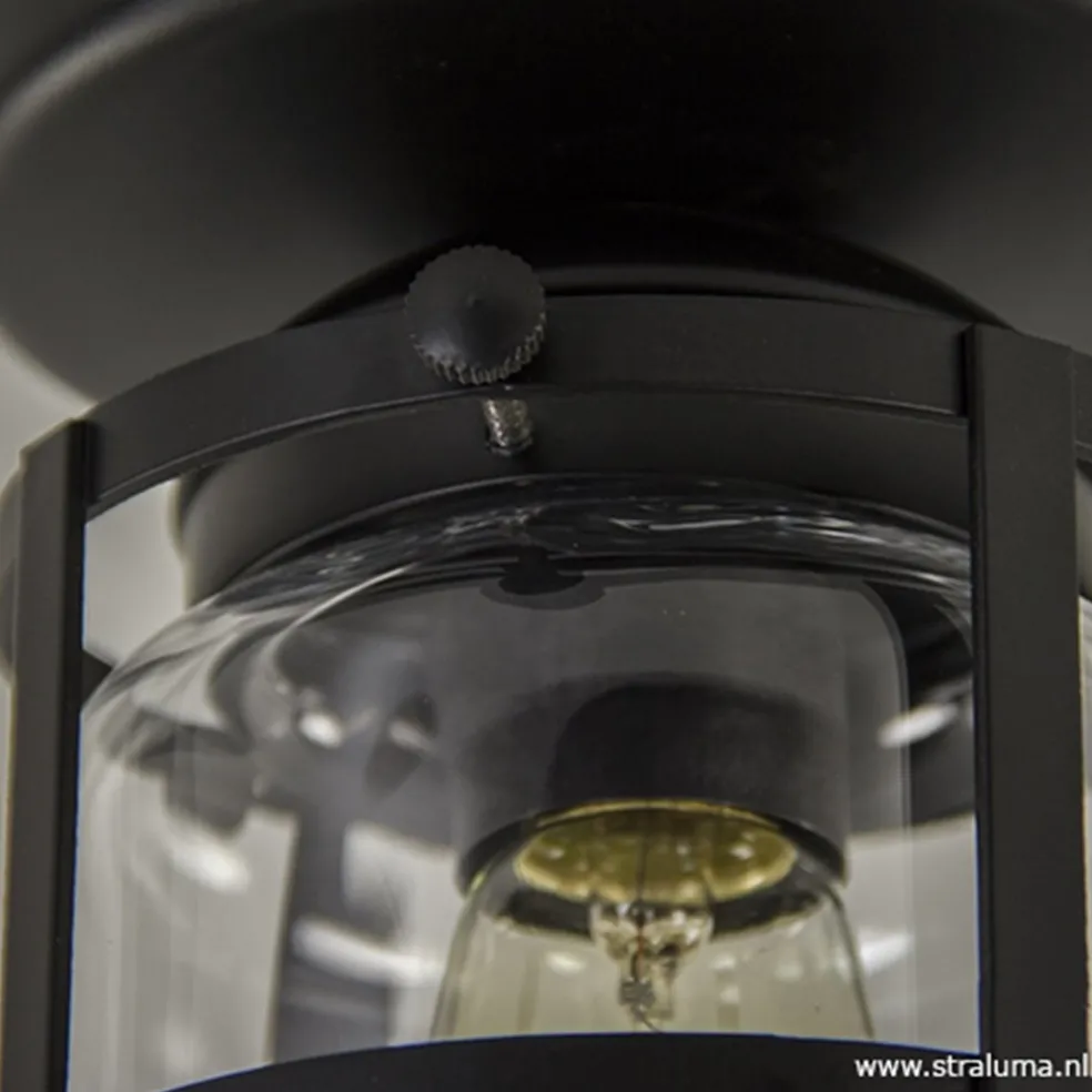 Discount Straluma Zwarte Kooi- plafondlamp met glas