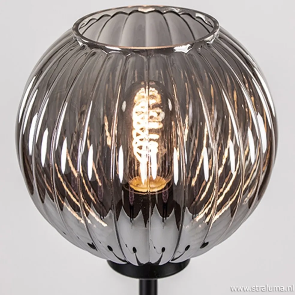 Fashion Straluma Zwarte vloerlamp met smoke glazen kap